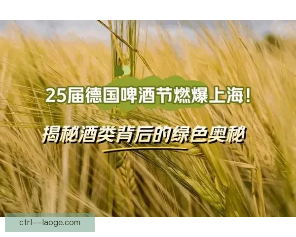 2026世界杯官方指定啤酒品牌推出限量纪念款庆祝全球盛事 2026世界杯官方指定啤酒品牌推出限量纪念款庆祝全球盛事