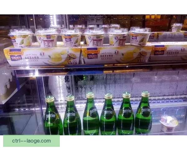 努涅斯对阵葡萄牙欧联杯表现与竞技状态全面评估分析及未来走势研判